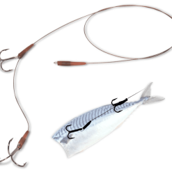 Quantum Mr. Pike Bottom Rig Leader 14 Kg Gr. 6-4