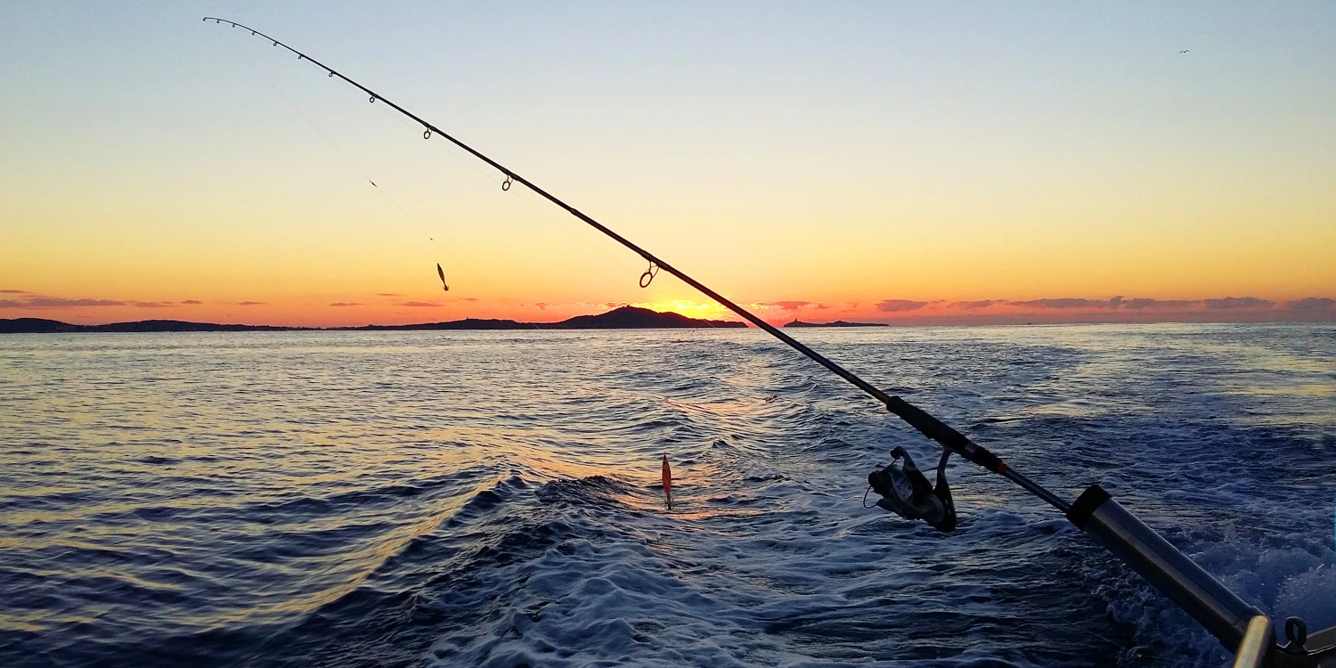 Titelseite -Savage Gear Verkäufe Meeresruten kaufen